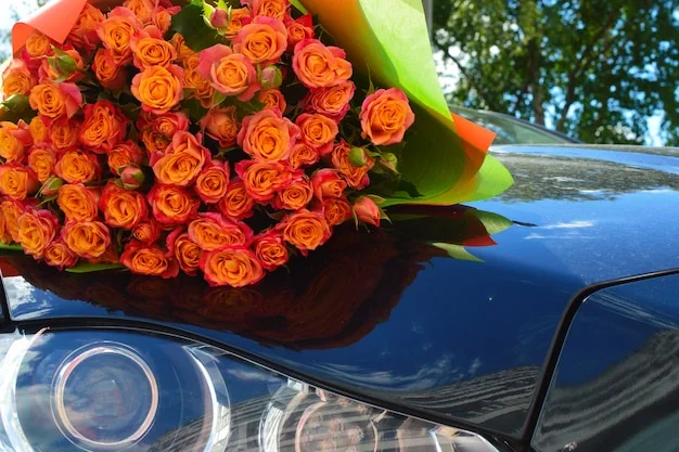 Flores
