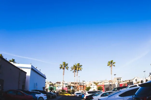 Los